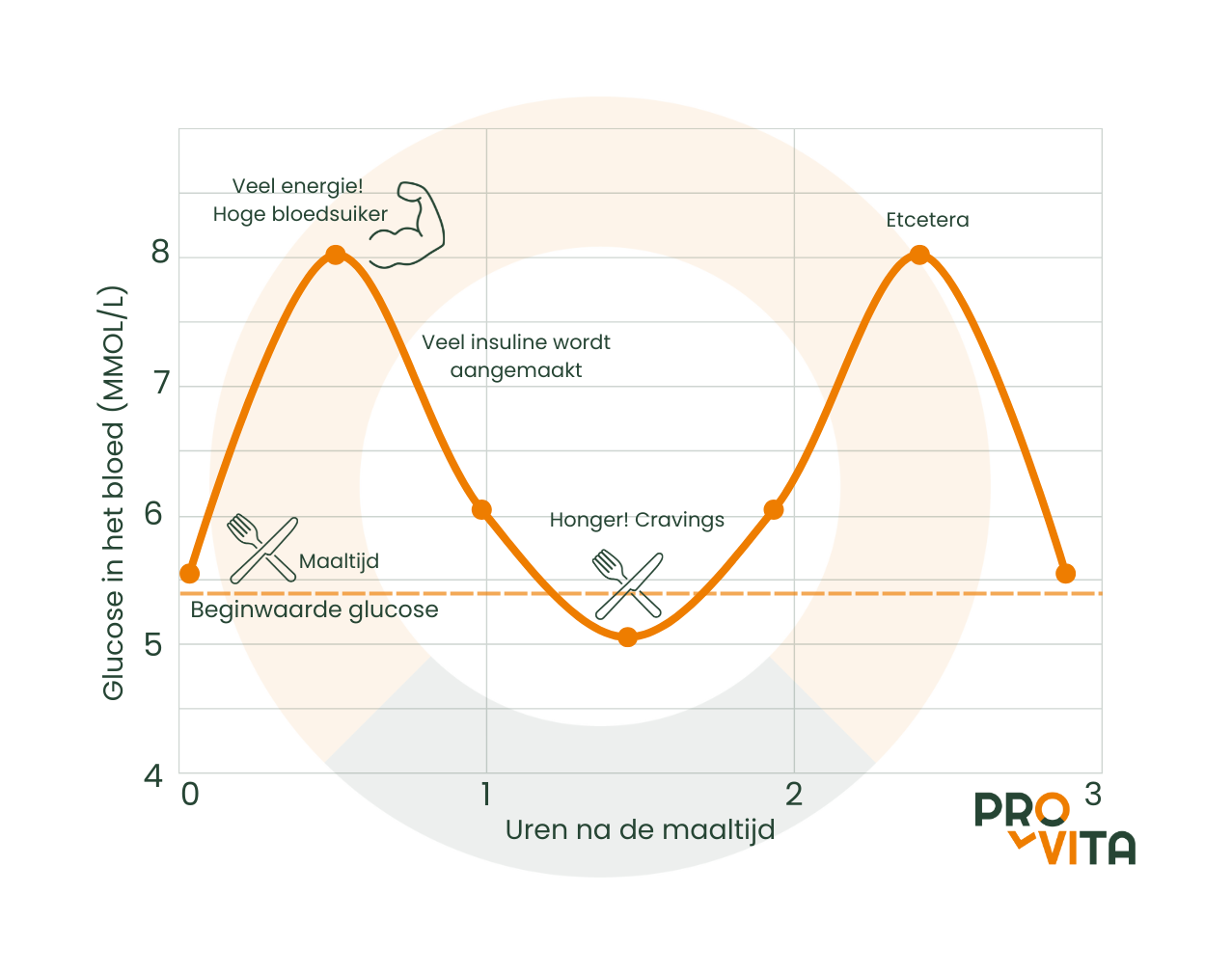 Intermittent Fasting Hype Of Sleutel Tot Succes ProVita Intermittent Fasting Hype Of Sleutel Tot Succes ProVita